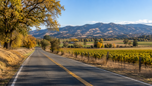 Scenic countryside near Williams California